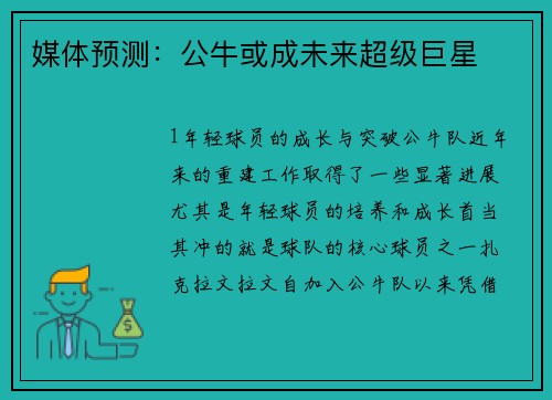 媒体预测：公牛或成未来超级巨星